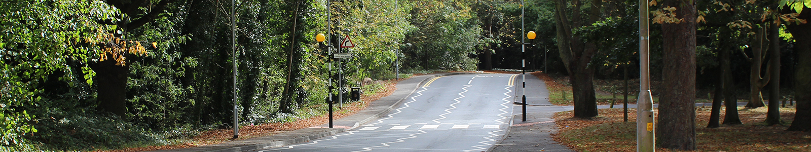 Image showing a road with a zebra crossing going across it.