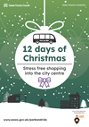 12 days of Christmas at Park and Ride